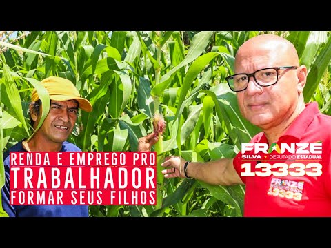 Renda e emprego pro trabalhador formar seus filhos | Franzé 13333 Deputado Estadual do Piauí